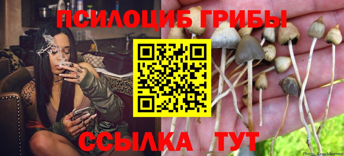 Острогожск  Псилоцибиновые грибы ЛСД  Вход с VPN  Галлюциногенные грибы ЛСД 
